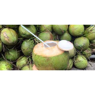 Dừa Xiêm Bến Tre ngọt lành nhiều nước - Giao Siêu Tốc 1h