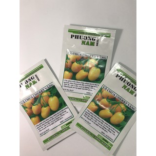 20 Hạt giống Cà Chua Cherry Vàng- Loại rau xinh xắn cho góc rau sạch nhà bạn