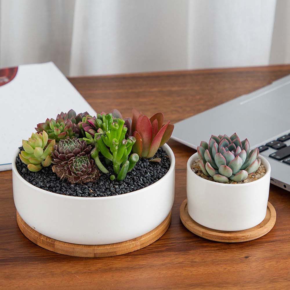 Giá Gỗ Để Chậu Cây Trang Trí Được Thiết Kế Đơn Giản