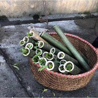 TRÀ LAM GÁC BẾP