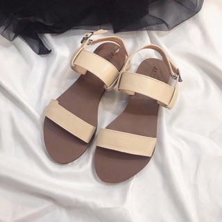 Sandan quai ngang vnxk