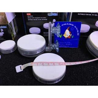 Quả sủi siêu mịn