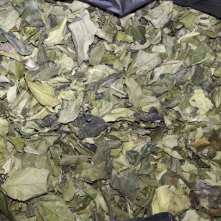 1 LẠNG LÁ GĂNG LÀM THẠCH