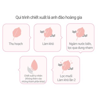 Combo Kem dưỡng ẩm sáng da từ hoa anh đào đảo Jeju innisfree Cherry Blossom Jelly Cream 50ml