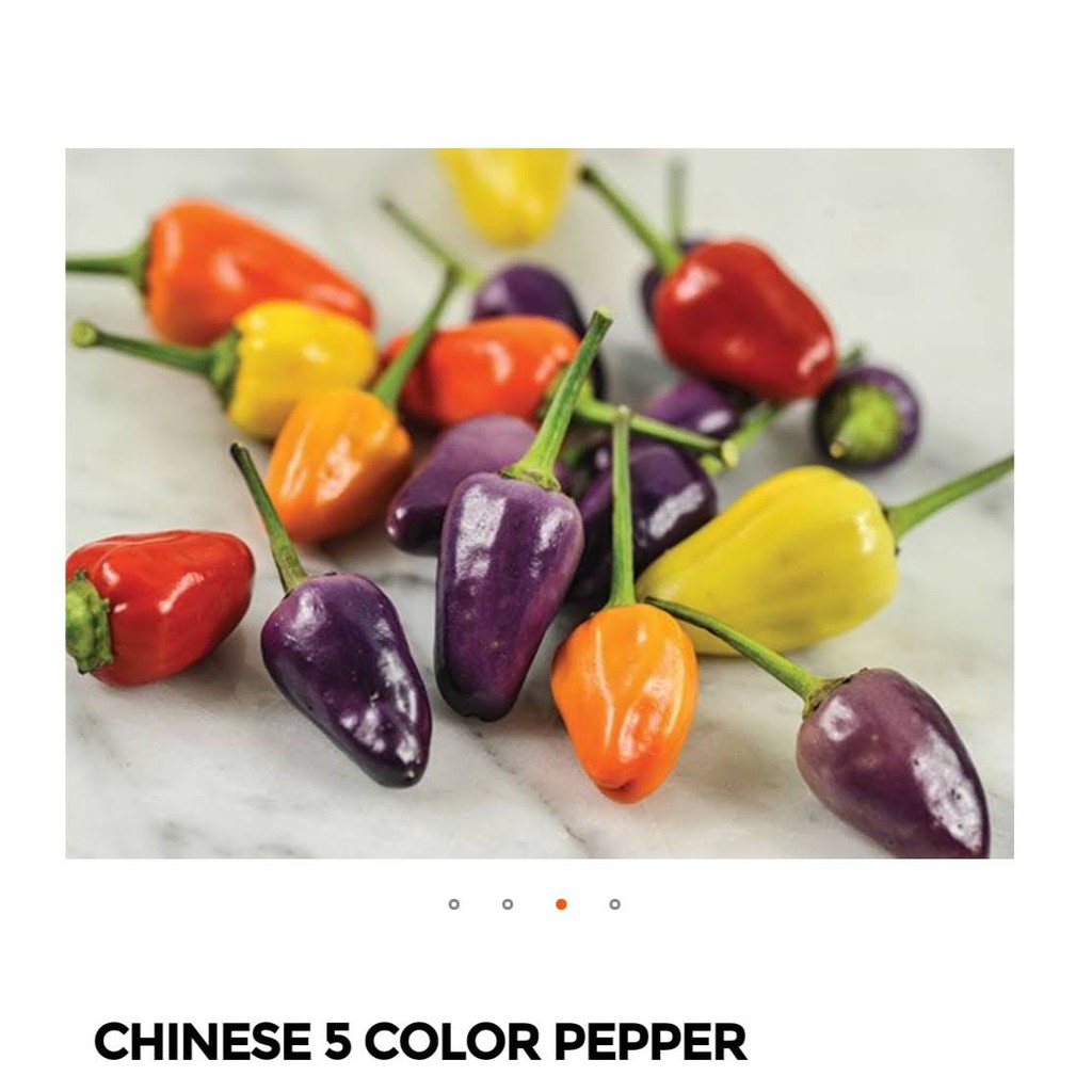 hạt ớt ngũ sắc (5 color peper)