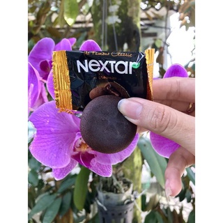 BÁNH QUY MỀM NHÂN CHOCOLATE NEXTAR
