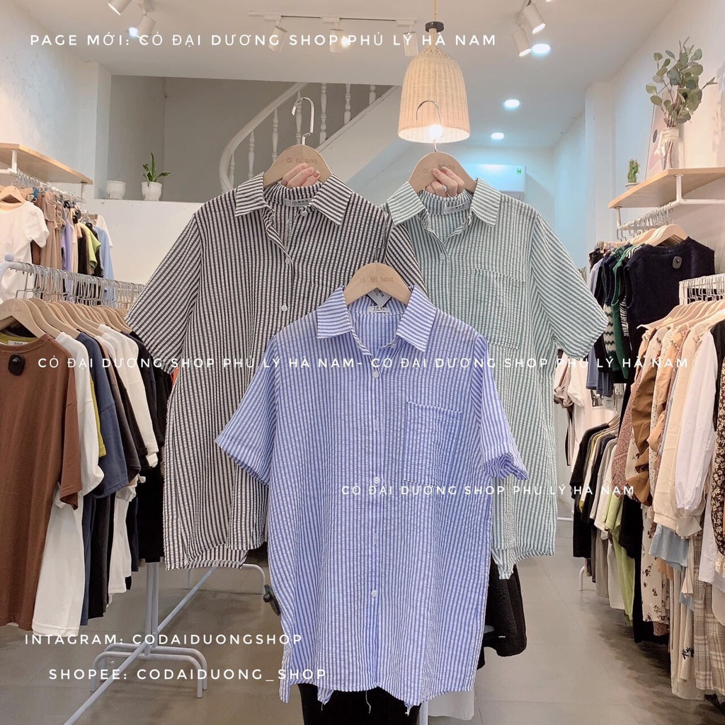 Áo sơ mi nữ form rộng 3 màu kẻ nhỏ có túi ngực trẻ trung/ Áo sơ mi cộc tay cúc cài xẻ vạt sau lưng cá tính_kudoshop