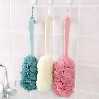 CÂY CỌ LƯNG TẮM BÔNG TẮM CÁN DÀI