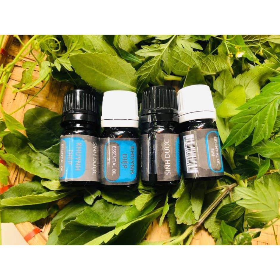 (Bán sỉ) Tinh dầu Khuynh Diệp nguyên chất 5ml HTX Sinh Dược Ninh Bình sản xuất 100% từ Thiên Nhiên.