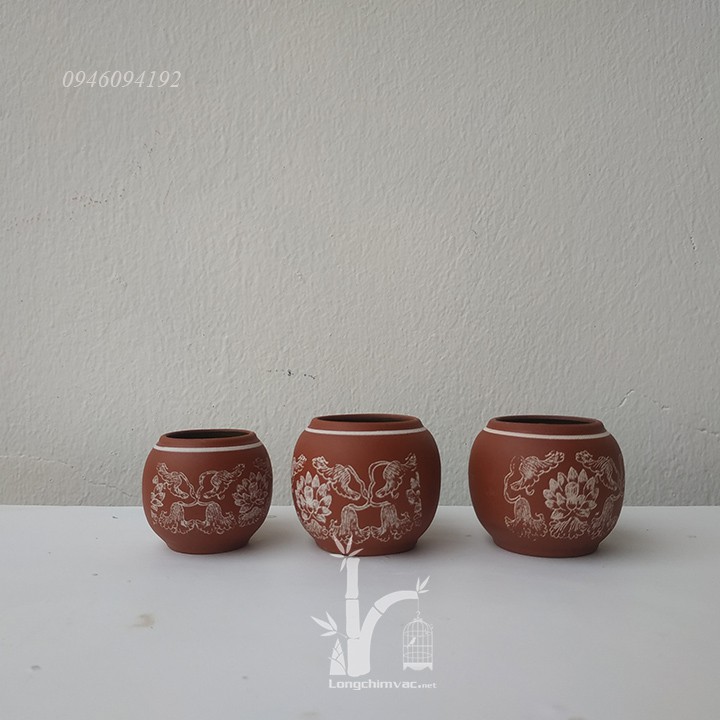 Cóng Chim Cảnh Cho Lồng Chào Mào