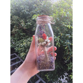 Lọ nụ hoa Lavender Pháp  trang trí (như hình)