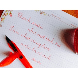Bút luyện chữ đẹp thanh đậm Thiên nga, cá mập Lê Ta
