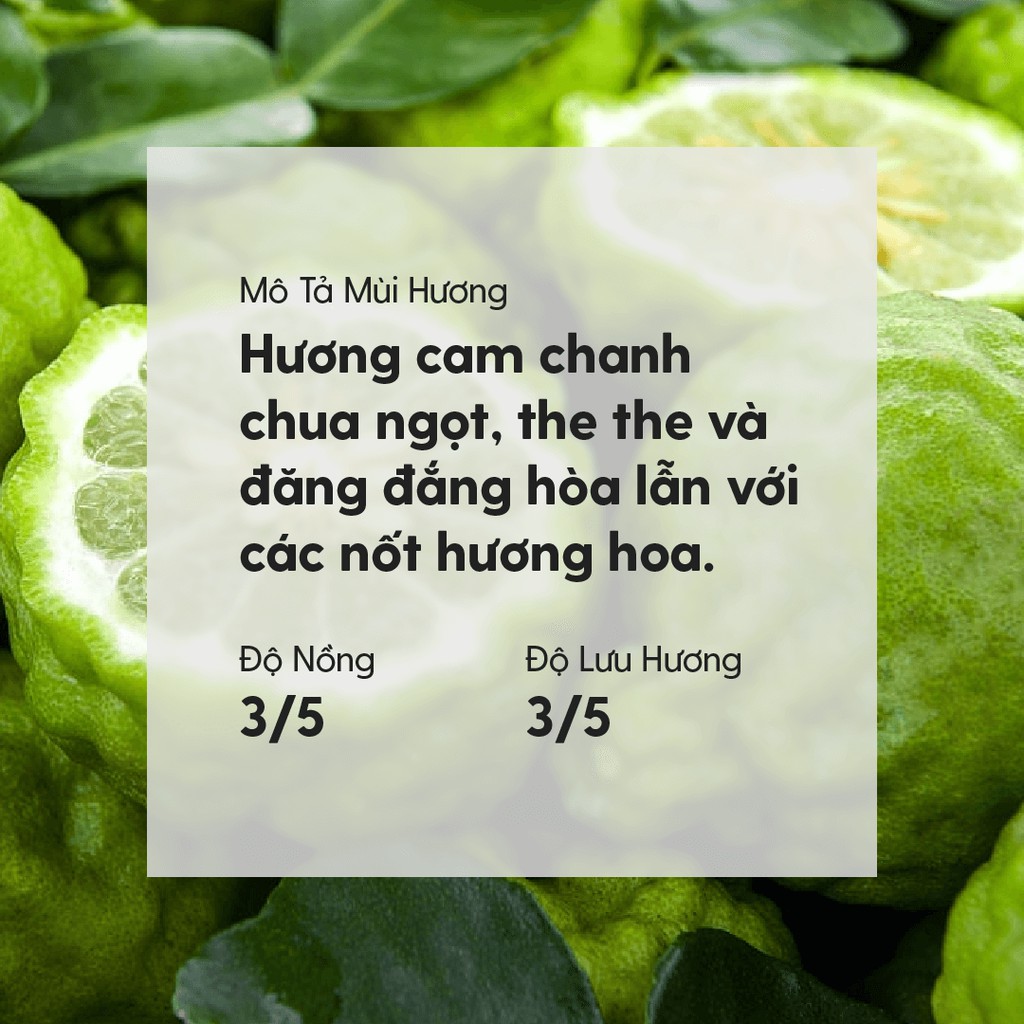 Tinh Dầu Cam Bergamot (Chua Thanh) Organic Thiên Nhiên Nguyên Chất Đậm Đặc Xông Thơm Phòng, Làm Nến Thơm HENY GARDEN