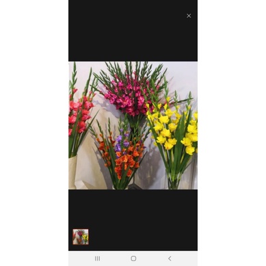 Hoa Lay ơn giả trang trí concept Tết xưa dài 1 mét - Hoa Dơn giả