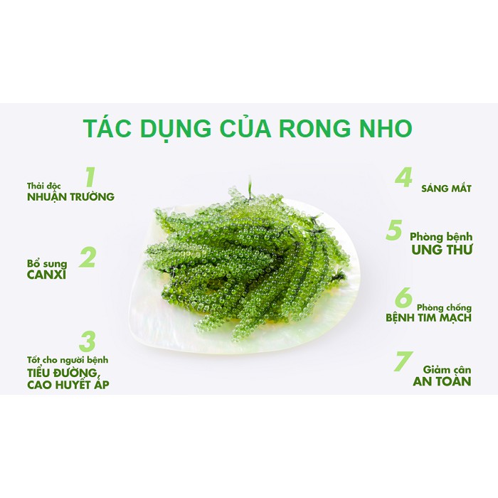 Rong nho Sabudo - 1 gói dùng thử 20g - có tặng kèm 1 gói nước sốt mè rang 15ml | BigBuy360 - bigbuy360.vn