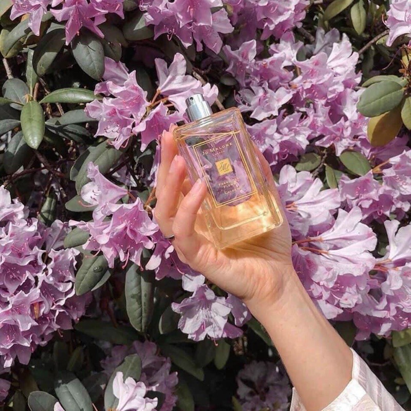 Nước hoa Jo Malone Wild Bluebell 100ml-hương thơm lôi cuốn tự nhiên