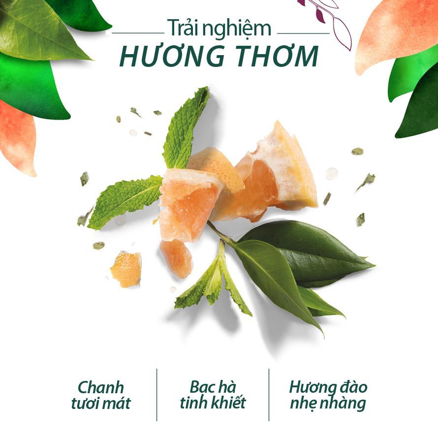 Dầu Gội Herbal Essences Chai 400ml