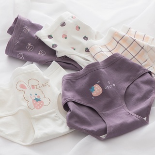 Set quần lót cotton nữ họa tiết dễ thương cute kháng khuẩn hút mồ hôi thông hơi QL13