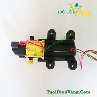 Bơm tưới cây, phun thuốc 12v - 4,5l