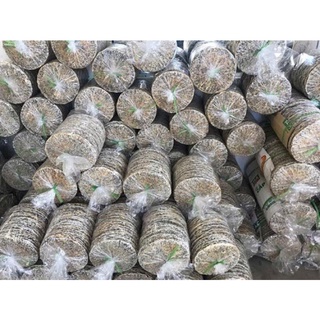 10 chiếc bánh đa đô lương siêu ngon