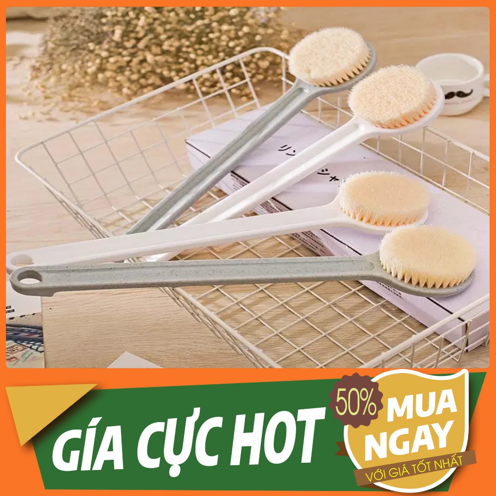 Cây Bàn Chải Cọ Lưng Chà Lưng Muji Có Hộp