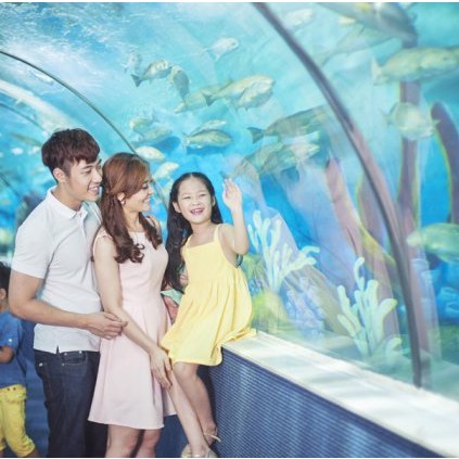 Hà Nội [E-Voucher] Vé vào cửa tại Thủy Cung Aquarium Times City - Áp dụng cho khách hàng trên 140 cm