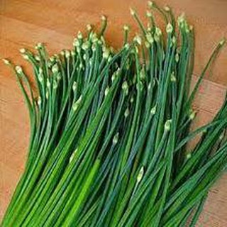5 gram hạt giống rau hẹ bông