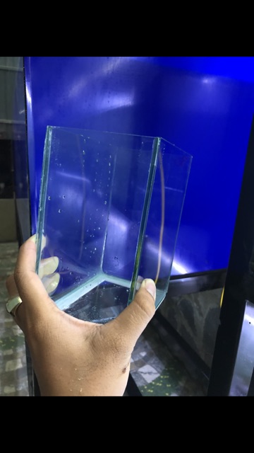 Hồ kính mini , hồ betta , keo betta , hồ show