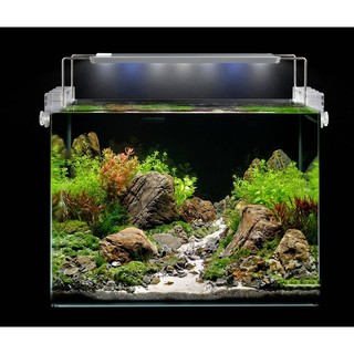 Đèn máng AquaBlue 60-80 cm