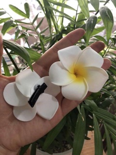 Kẹp hoa sứ đại phụ kiện dễ thương