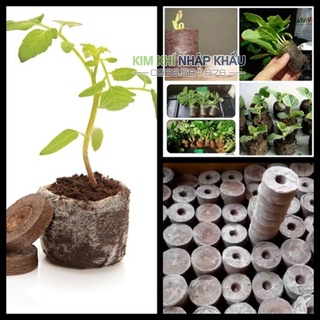 20 Viên nén xơ dừa ươm hạt giống cây - XD2