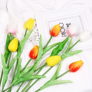 Đạo Cụ Chụp Hình Các Loại, DECOR trang trí chụp ảnh HOA TULIP TƯƠI SẮC