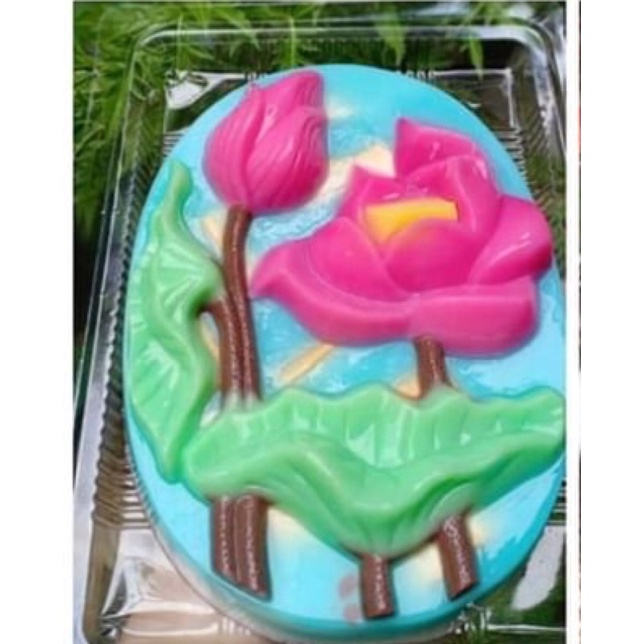 [ Hàng mới về ]Khuôn Rau Câu 20cm