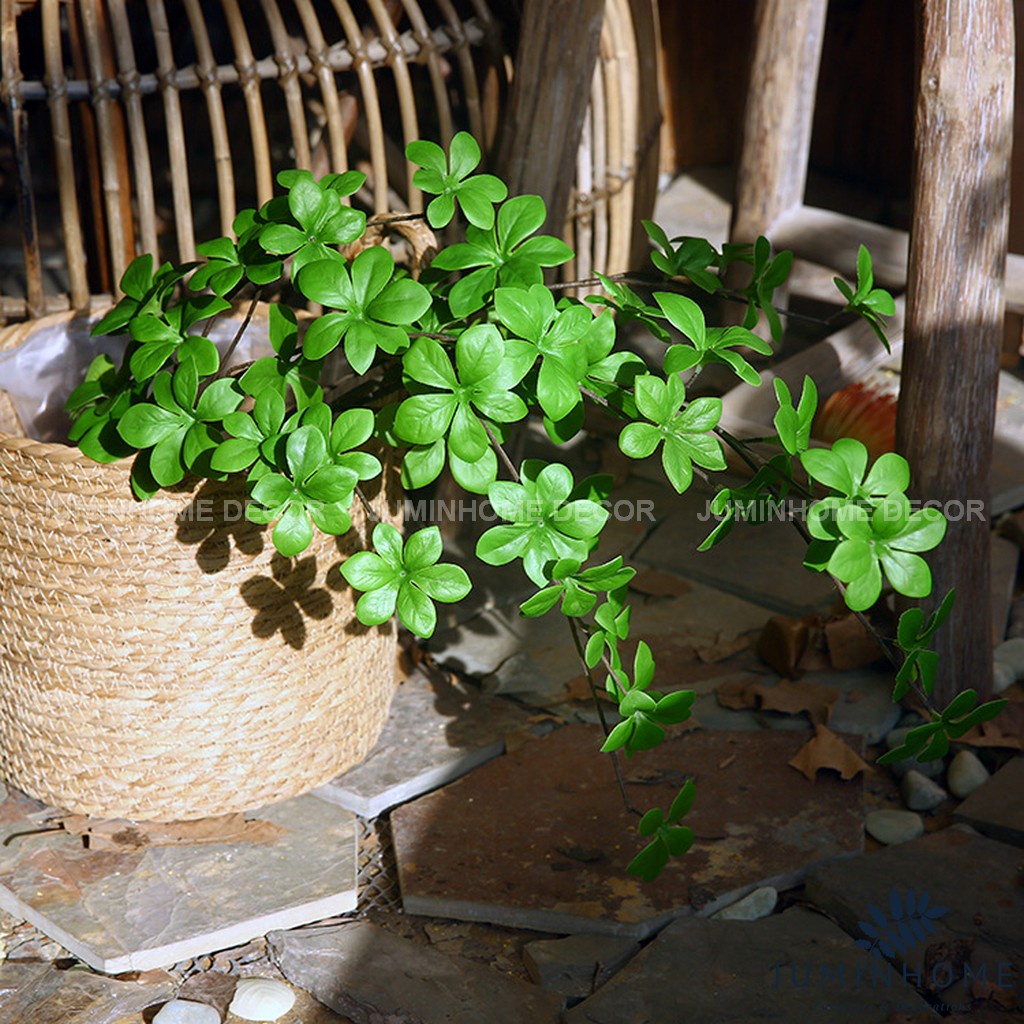Cành Thạch Nam Nhật Bản - Cây hoa giả Decor trang trí nhà cửa nội thất phòng khách, phòng ngủ