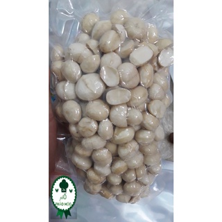500g nhân macca sạch dak lak cao cấp đã sấy