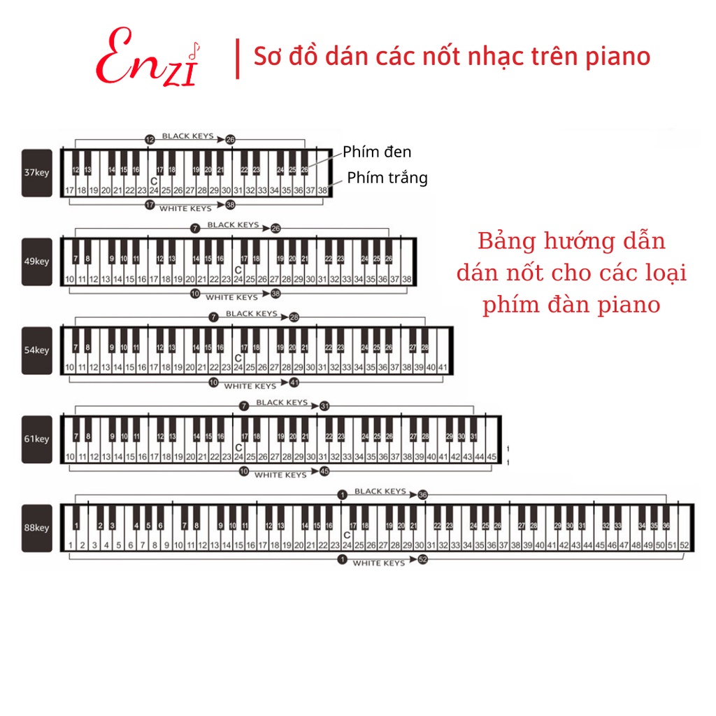 Sticker dán nốt bàn phím đàn piano organ dùng cho tất cả các phím đàn 88, 76, 61, 54, 36 phím Enzi