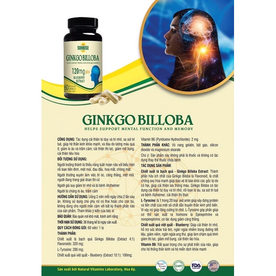 Bổ Não Ginko billoba