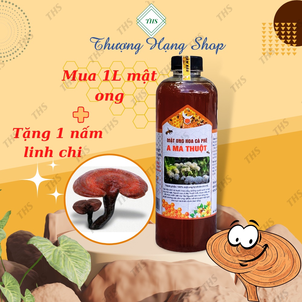 MẬT ONG HOA CÀ PHÊ - chai 1 L [ A MA THUỘT]