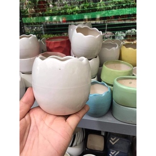 Chậu sứ trồng sen đá, chậu mini cute nhiều mẫu giá rẻ
