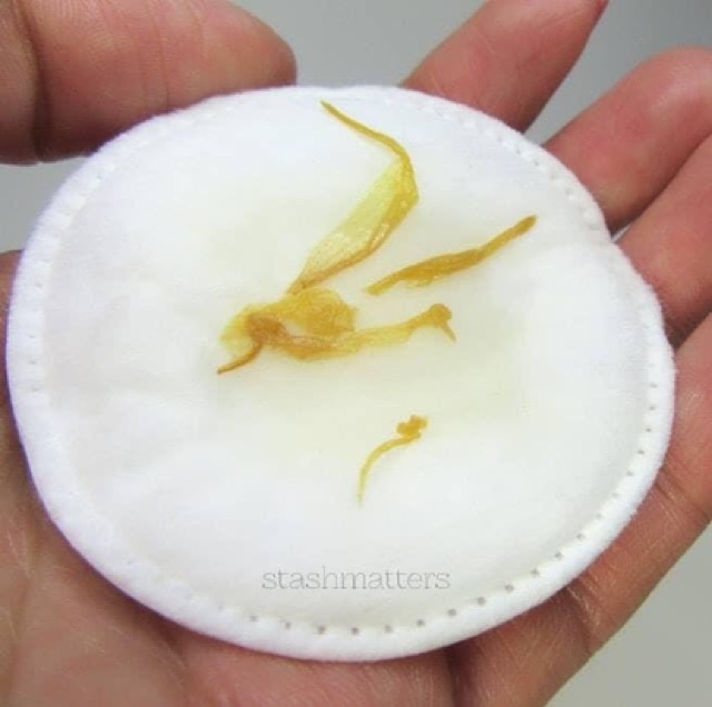  [Mini] Nước Hoa Hồng Toner Hoa Cúc kiehl’s Celendula 40ml | BigBuy360 - bigbuy360.vn