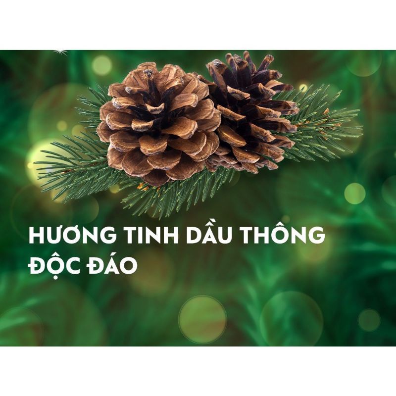 250g- Nước rửa tay Dettol kháng khuẩn tinh dầu thông