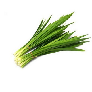 10 Lá dứa lá tám nhà trồng không thuốc