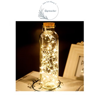 ♥️FREESHIP♥️Lọ thủy tinh kèm dây đèn Fairy Light🌸Decor nhà Vintage
