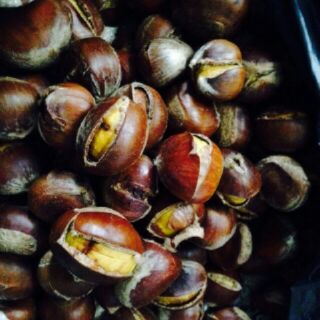 (Hạt dẻ Trùng Khánh Cao Bằng