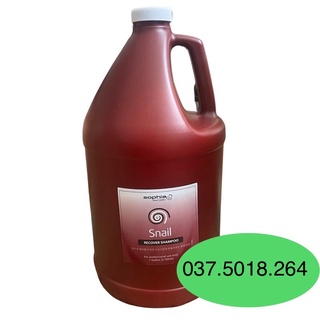 DẦU GỘI PHỤC HỒI TÓC SNAIL SOPHIA PROFESSIONAL 3785ML