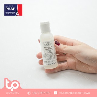 Dầu Gội Kiehl's Amino Acid Shampoo 65ml