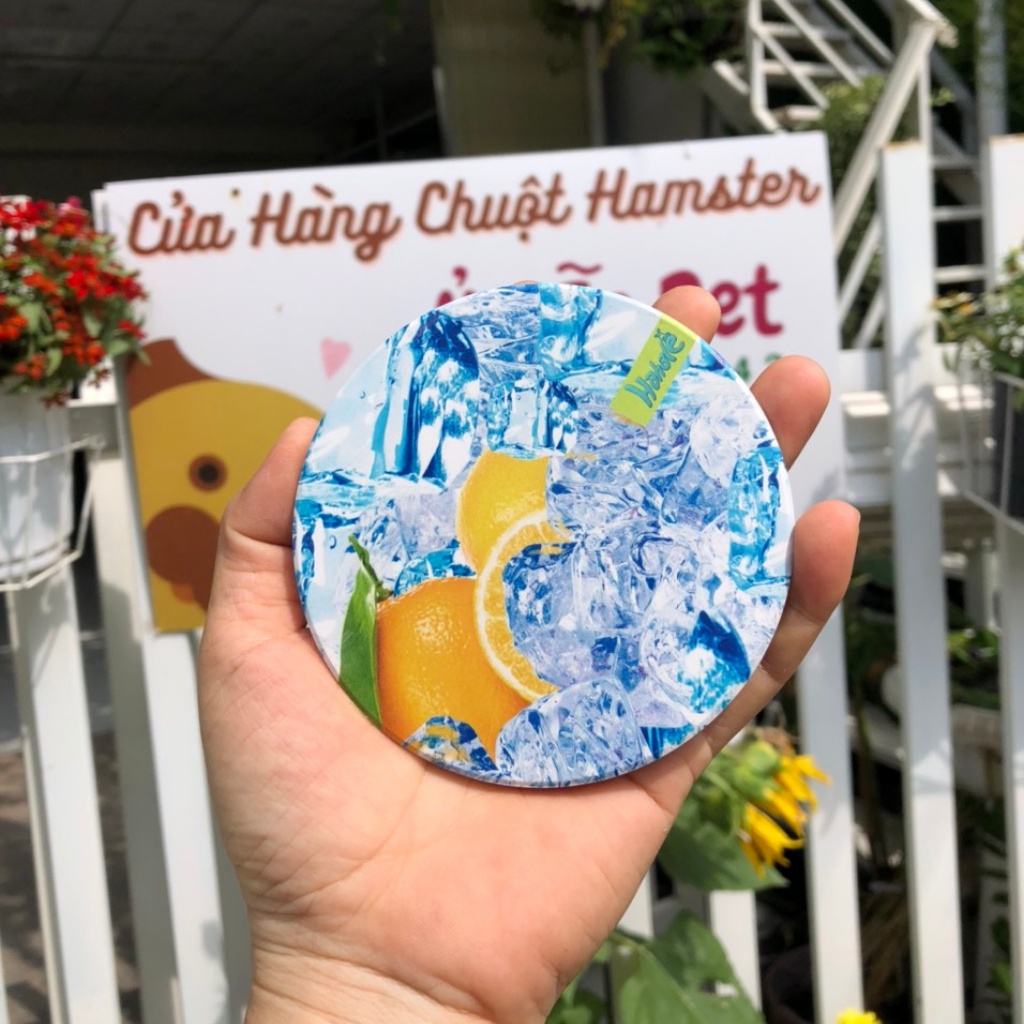 Tấm sứ tản nhiệt cho hamster, sóc, bọ, nhím, thú nhỏ