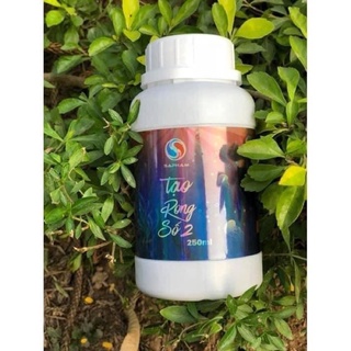 Bột Tạo Rong Số 2 (Sa Phạm)