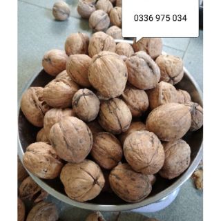 500G QUẢ ÓC CHÓ MỸ