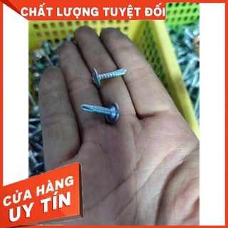 200gr vít bắt sắt,vít đuôi cá